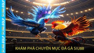 Khám Phá Chuyên Mục Đá Gà SIU88