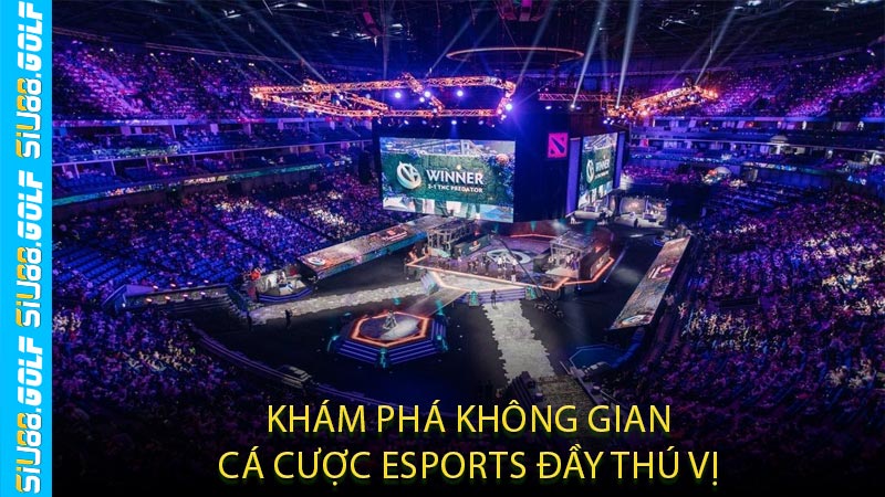 Khám Phá Không Gian Cá Cược Esports Đầy Thú Vị