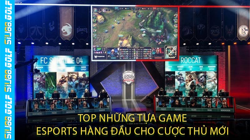 Top Những Tựa Game Esports Hàng Đầu Cho Cược Thủ Mới